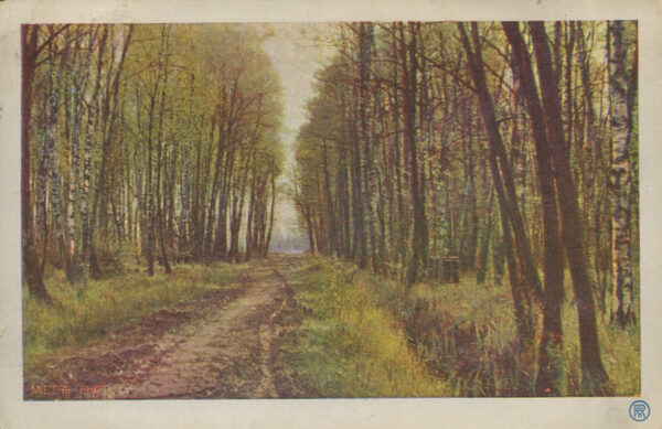 [pocztówka] Leśna droga. Karta z korespondencją Jerzego Smoleńskiego do Marii Babireckiej