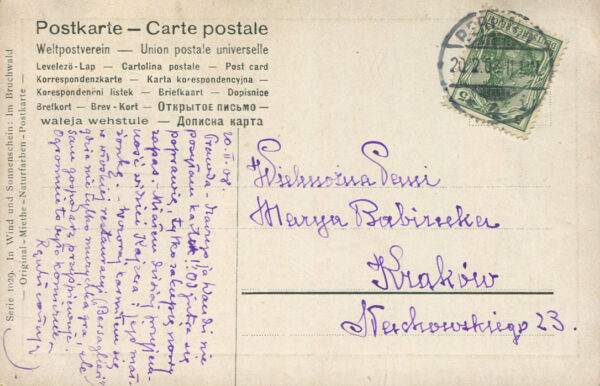 [pocztówka] Leśna droga. Karta z korespondencją Jerzego Smoleńskiego do Marii Babireckiej