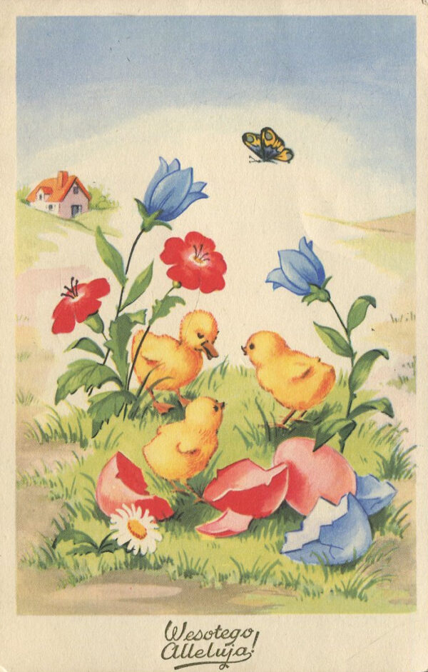 [pocztówka] Wesołego Alleluja! Kurczaki i kwiaty